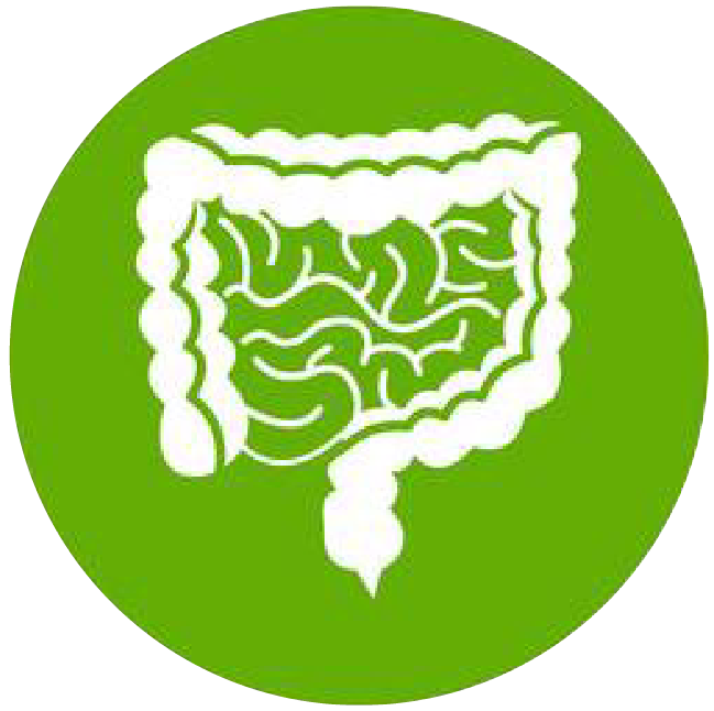 關(guān)注職場(chǎng)“腸”態(tài)，守護(hù)員工健康——上海格瑞特特邀消化內(nèi)科專(zhuān)家公益系列講座（4）(圖1)