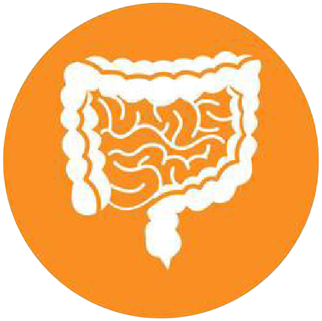 關(guān)注職場(chǎng)“腸”態(tài)，守護(hù)員工健康——上海格瑞特特邀消化內(nèi)科專(zhuān)家公益系列講座（4）(圖4)