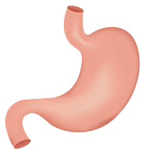 關(guān)注職場(chǎng)“腸”態(tài)，守護(hù)員工健康——上海格瑞特特邀消化內(nèi)科專(zhuān)家公益系列講座（4）(圖9)